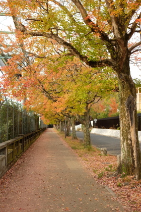 f0103797_17064513.jpg