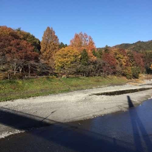 b0195100_10075051.jpeg