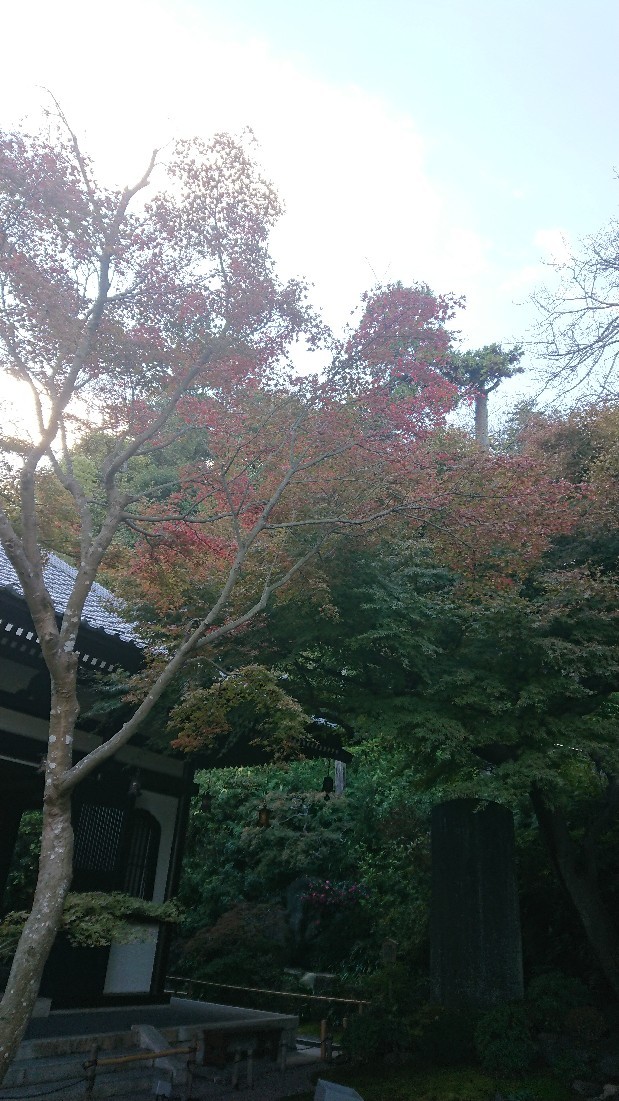 f0337700_21053079.jpg