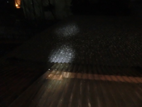 クリスマスホーリーの木、ミニの靴下・手袋_a0203003_22092802.jpg