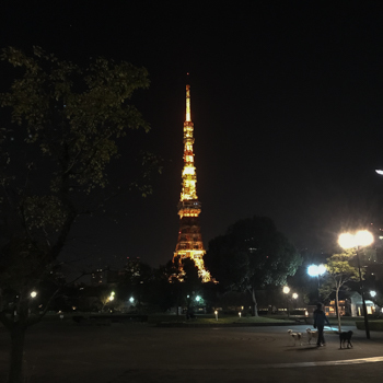 c0367403_09261137.jpg