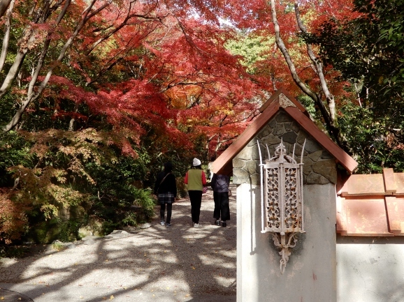 山荘（ヴィッラ）の窓から（windows of a villa）_c0345705_17362442.jpg