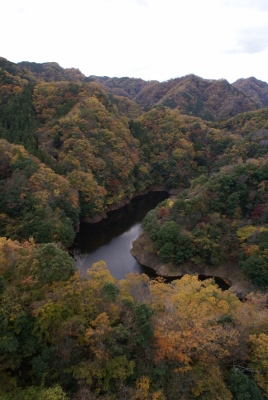 b0040606_173614.jpg