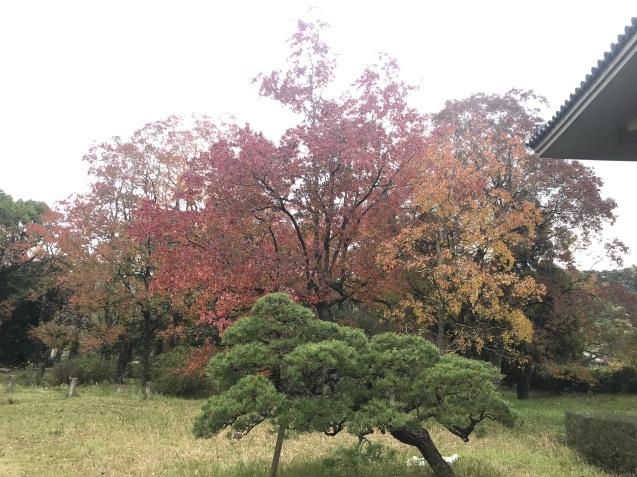 b0061107_07432464.jpeg