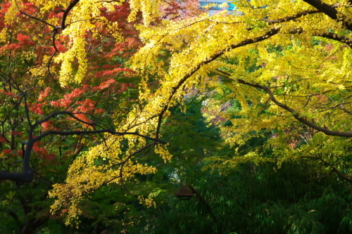 a0263109_19403069.jpg