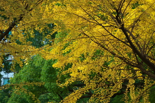 a0263109_19470261.jpg