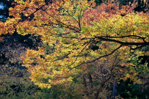 a0263109_19470285.jpg