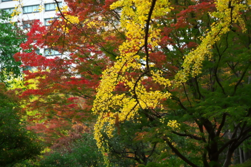 a0263109_19473499.jpg
