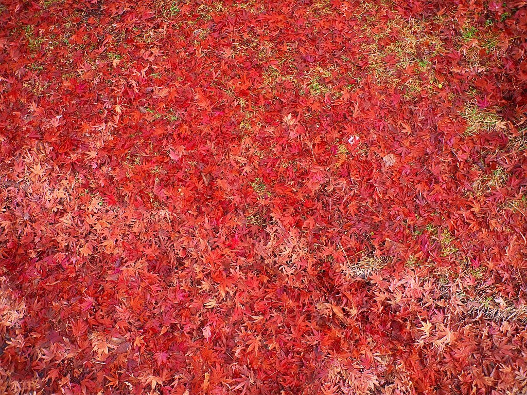 e0364711_21523407.jpg