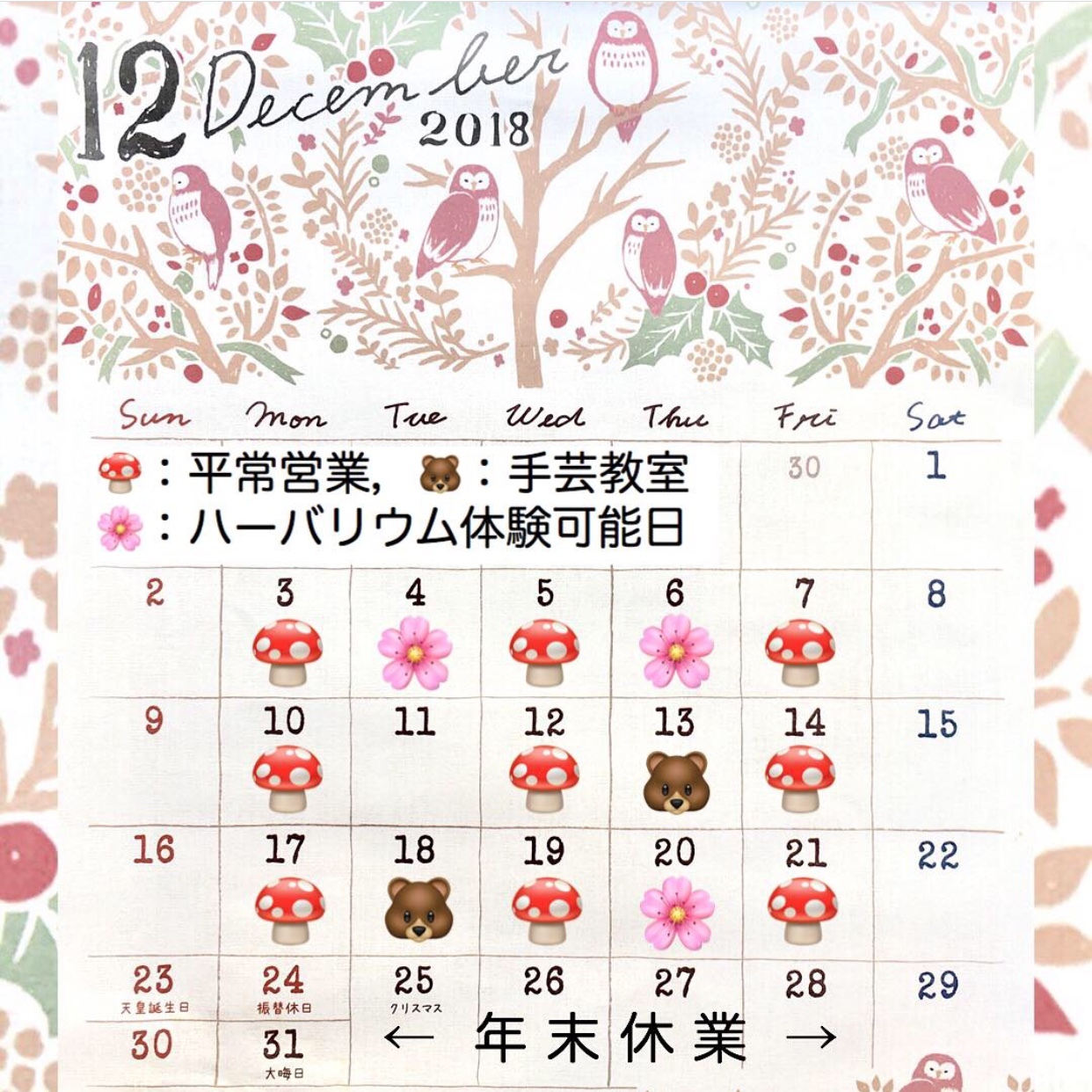 12月の予定_c0353114_14471369.jpeg
