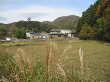 a0174419_14424238.jpg