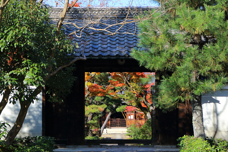 紅葉の京都2018 －萬年山眞如寺 かしきりもみじ（後編）－_b0169330_22162228.jpg