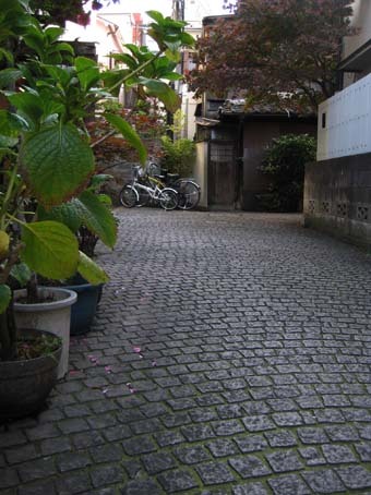 d0146230_21373473.jpg