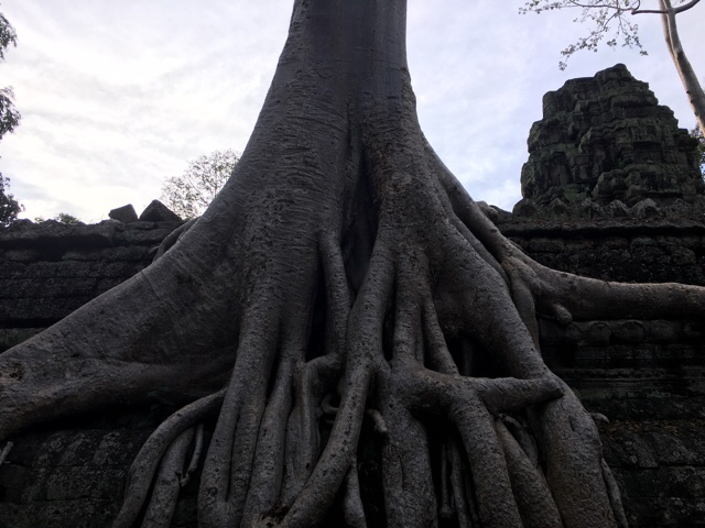 b0038638_17454414.jpg