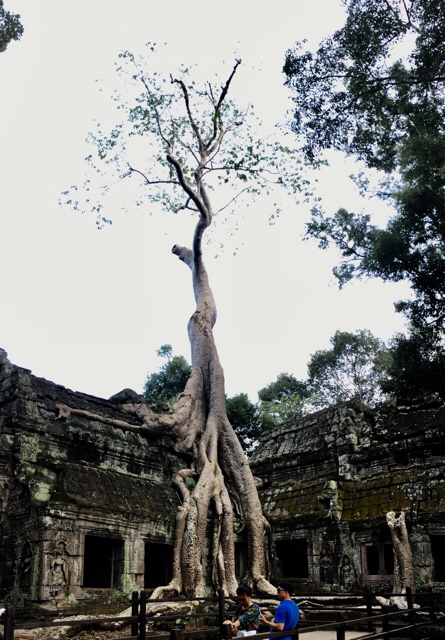 b0038638_17454531.jpg