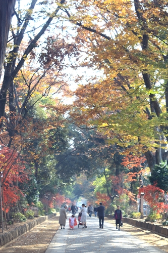 c0229539_1316100.jpg