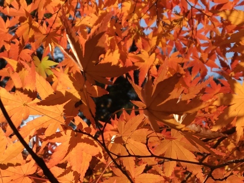 b0330040_22104197.jpeg