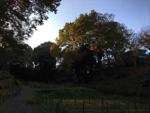 b0330040_22250441.jpeg