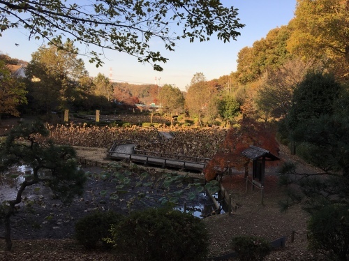 b0330040_22281127.jpeg