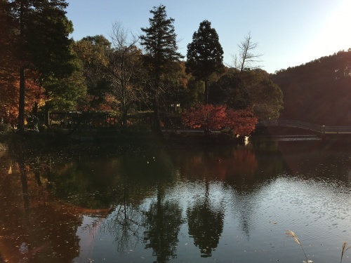 b0330040_22391671.jpeg