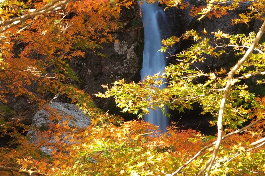 紅葉の阿瀬渓谷 1 但馬 写真日和 紅葉の阿瀬渓谷 1 但馬 写真日和