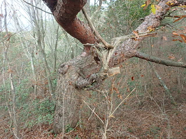 f0334143_96719.jpg