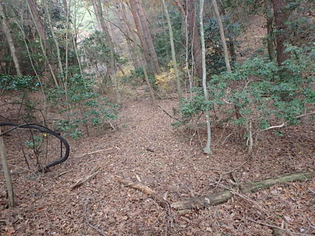 f0334143_98886.jpg