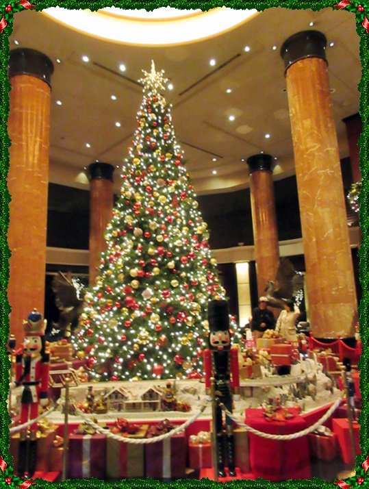 ウェスティン東京のクリスマスツリー お散歩アルバム 紫陽花の頃 ウェスティン東京のクリスマスツリー お散歩アルバム 紫陽花の頃