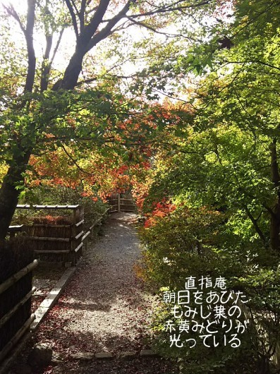 c0134850_10590828.jpg