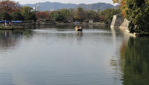 b0220251_16494501.jpg