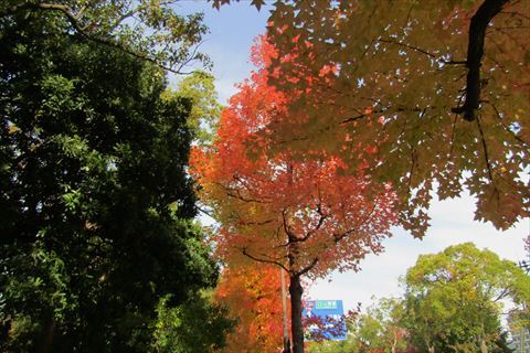 b0220251_19511633.jpg