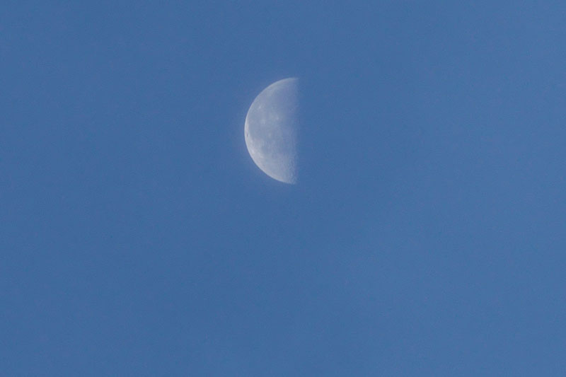 d0342652_81896.jpg
