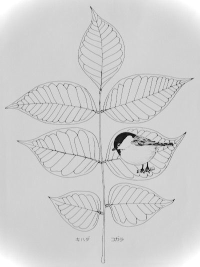 木の葉絵 Leaf Art スケッチ感察ノート Nature Journal 木の葉絵 Leaf Art スケッチ感察ノート Nature Journal