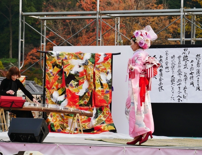   飛翔～はばたけ和歌山 ２　　２０１８-１２-０３　００：００_b0093754_22465059.jpg