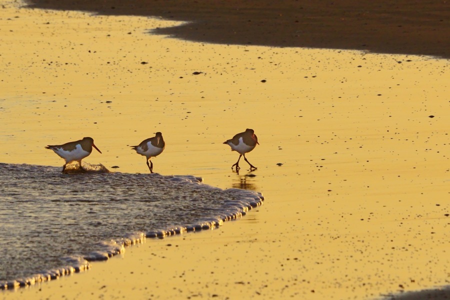e0229455_14104720.jpg