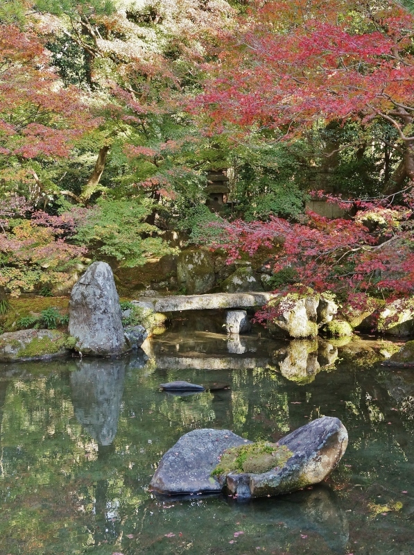 蓮華寺：石川丈山作と伝えられる（伝えられていた？）庭園_b0063958_23280745.jpg