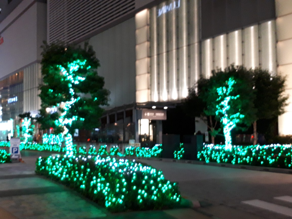 f0193762_1265970.jpg