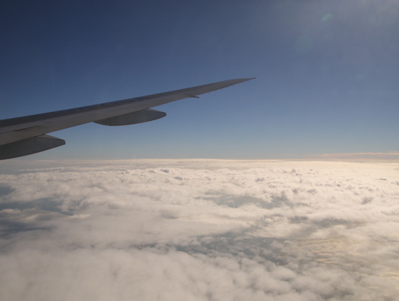 d0202264_54597.jpg