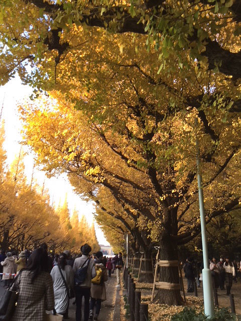 c0228466_14242770.jpg