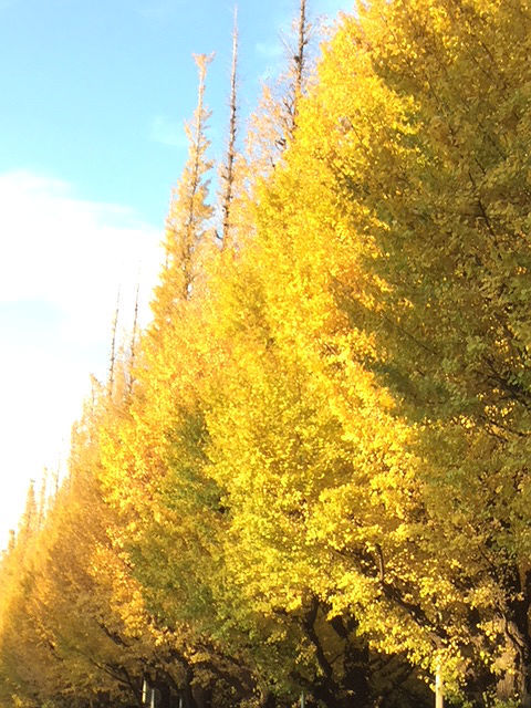 c0228466_14243871.jpg