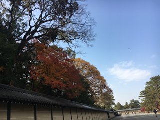 京都御苑の紅葉と梨の木神社_f0363168_17424333.png