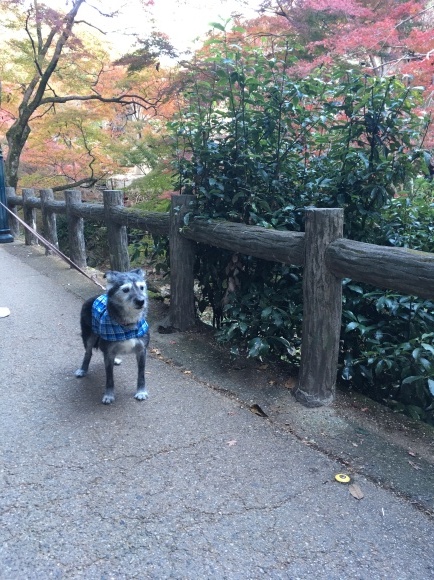 f0389169_05252764.jpeg