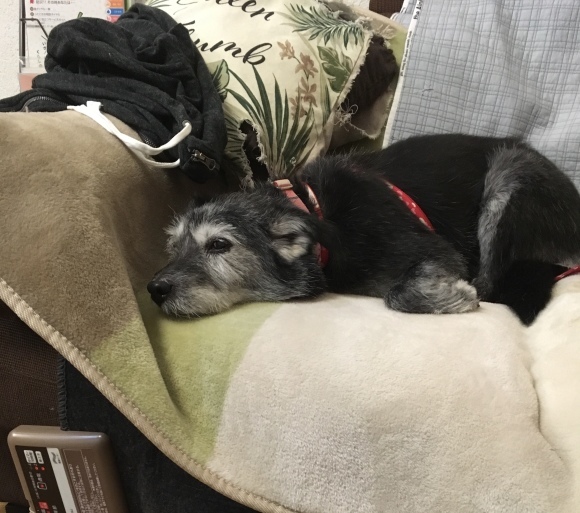 f0389169_05261822.jpeg