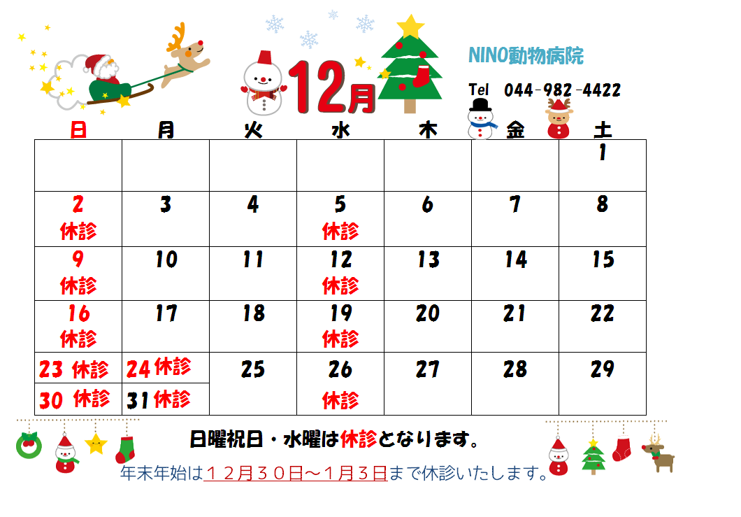 12月の診療日のお知らせ☆_e0288670_09165531.png