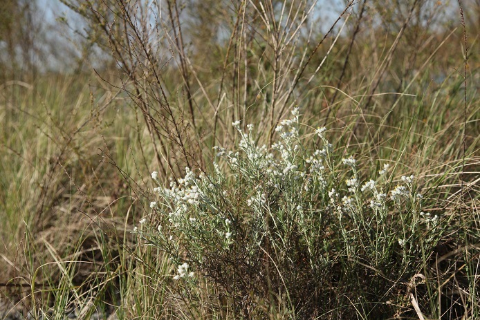 e0304170_19000136.jpg