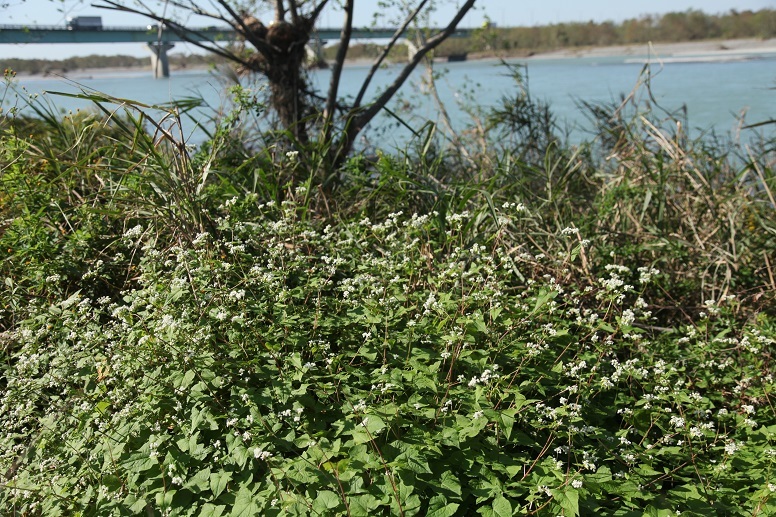 e0304170_19003541.jpg