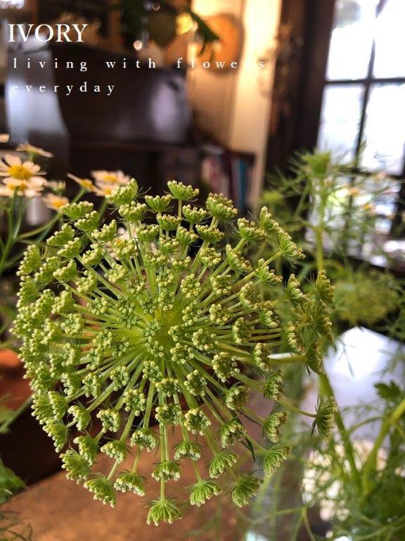 b0094378_21322455.jpeg