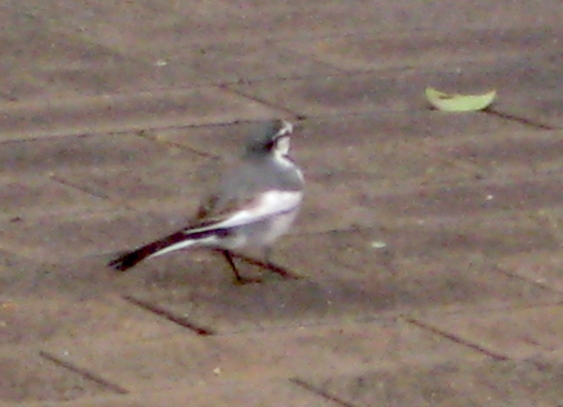 b0057679_08543442.jpg