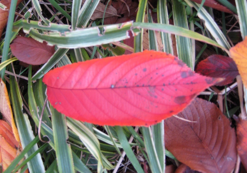 b0057679_08544524.jpg