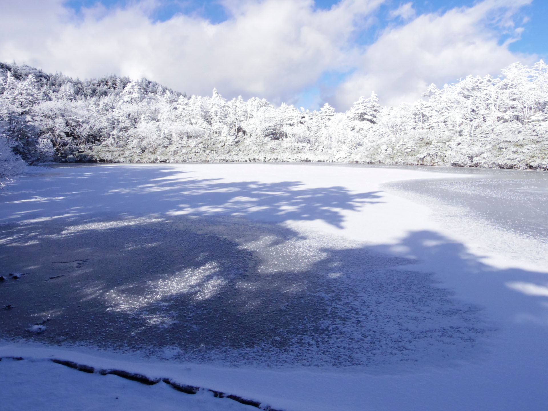 続続・北横岳（11/23）_c0051781_22570561.jpg